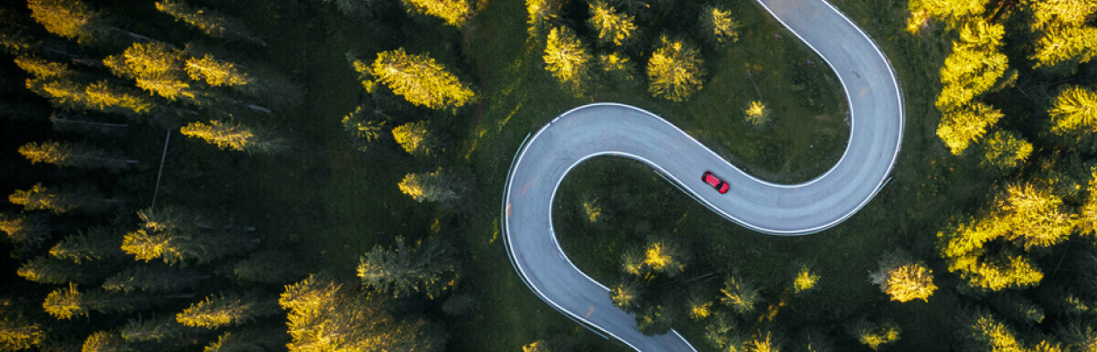 Aerial view of road through forest