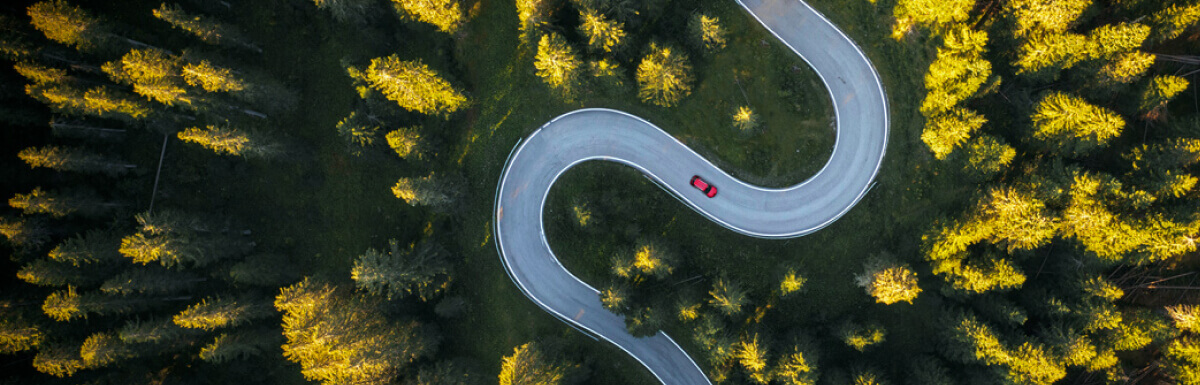 Aerial view of road through forest
